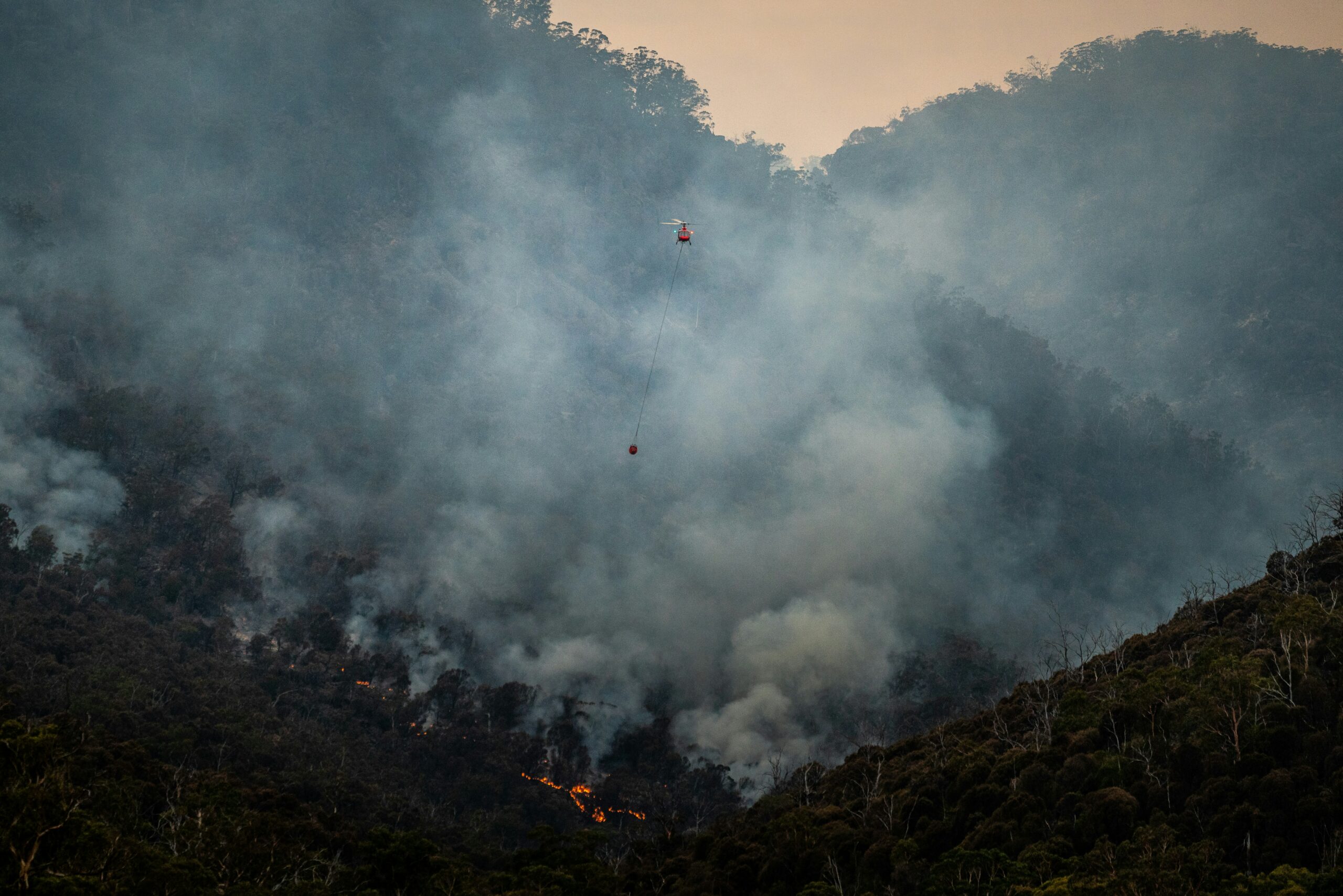 Création du site Incendies France, une carte communautaire d'entraide sur les incendies en France, pensée par Digital Jouss'
